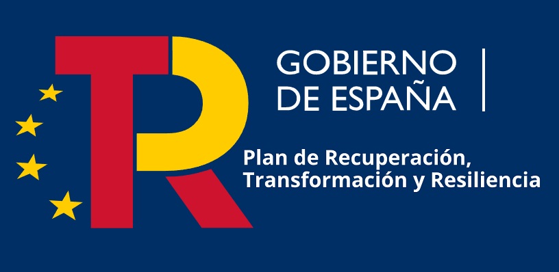 ayudas subvenciones digitalizacion